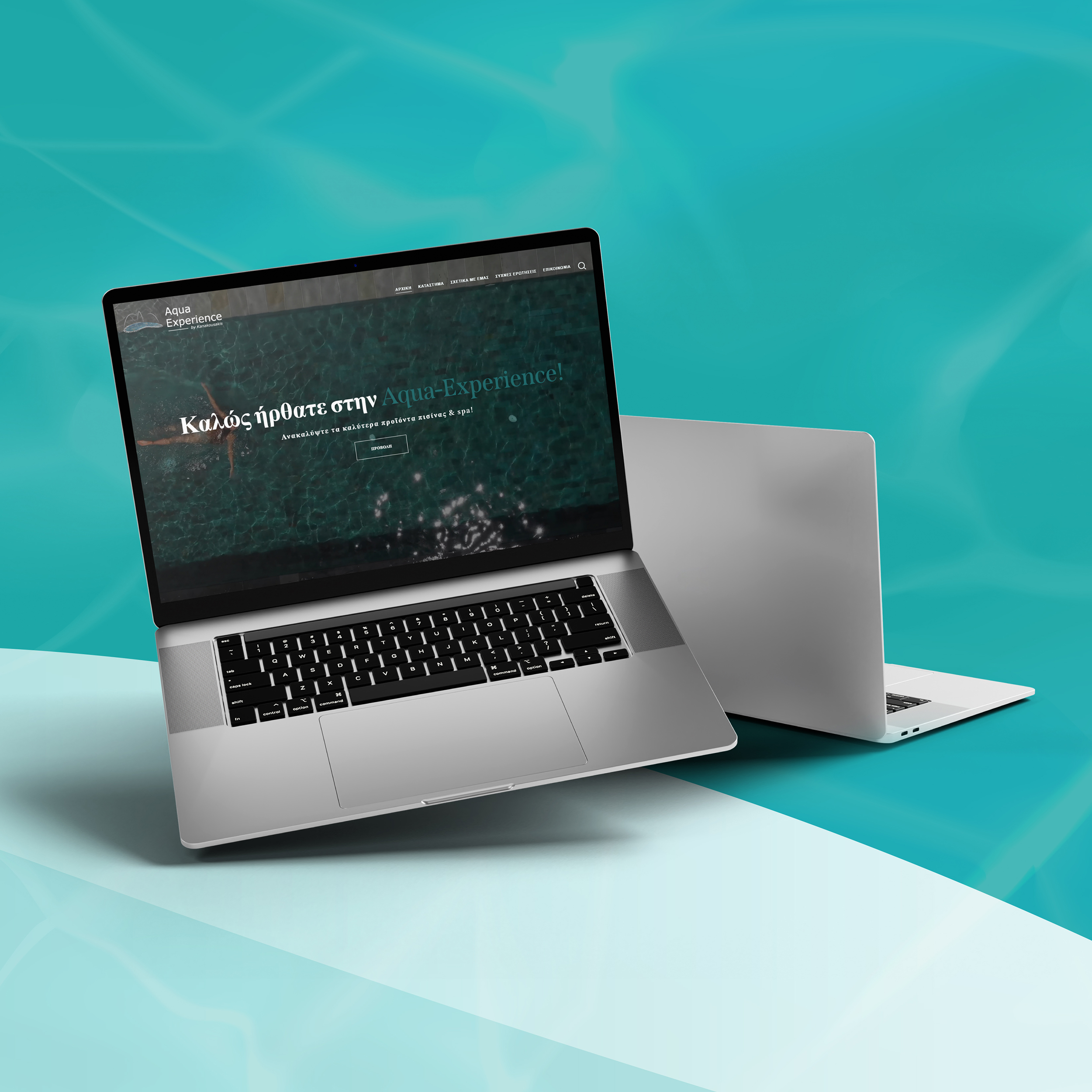 Web Design & Development